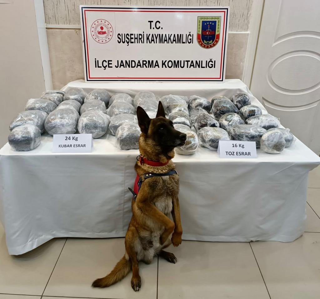 Suşehri İlçesinde Durdurulan Otobüste Uyuşturucu Yakalandı