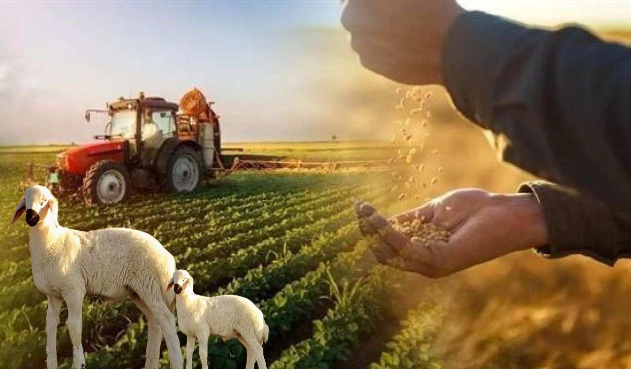 31 Aralık Çks Başvurusu Son Tarih