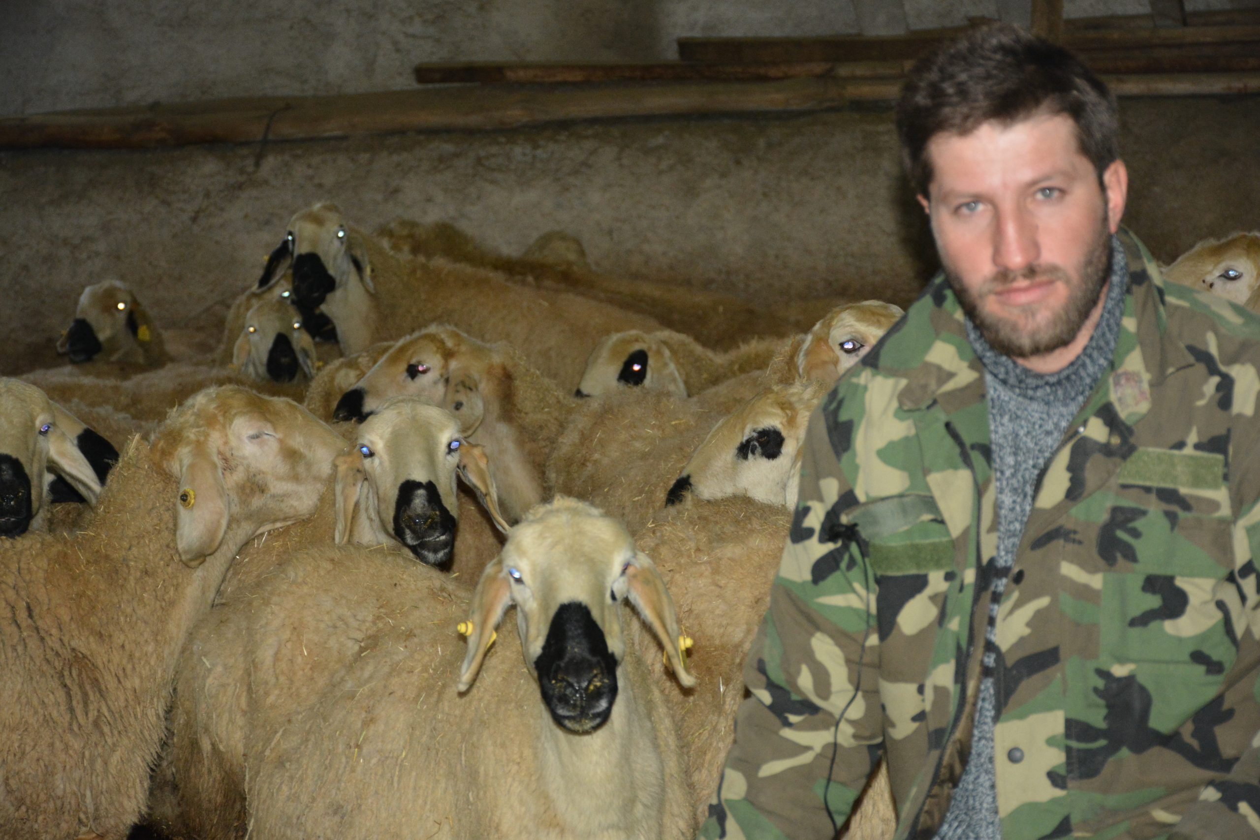 Gürünlü Çoban Tarık KARA’nın Videosu Sosyal Medyada Milyonlarca Kişi Tarafından İzlendi