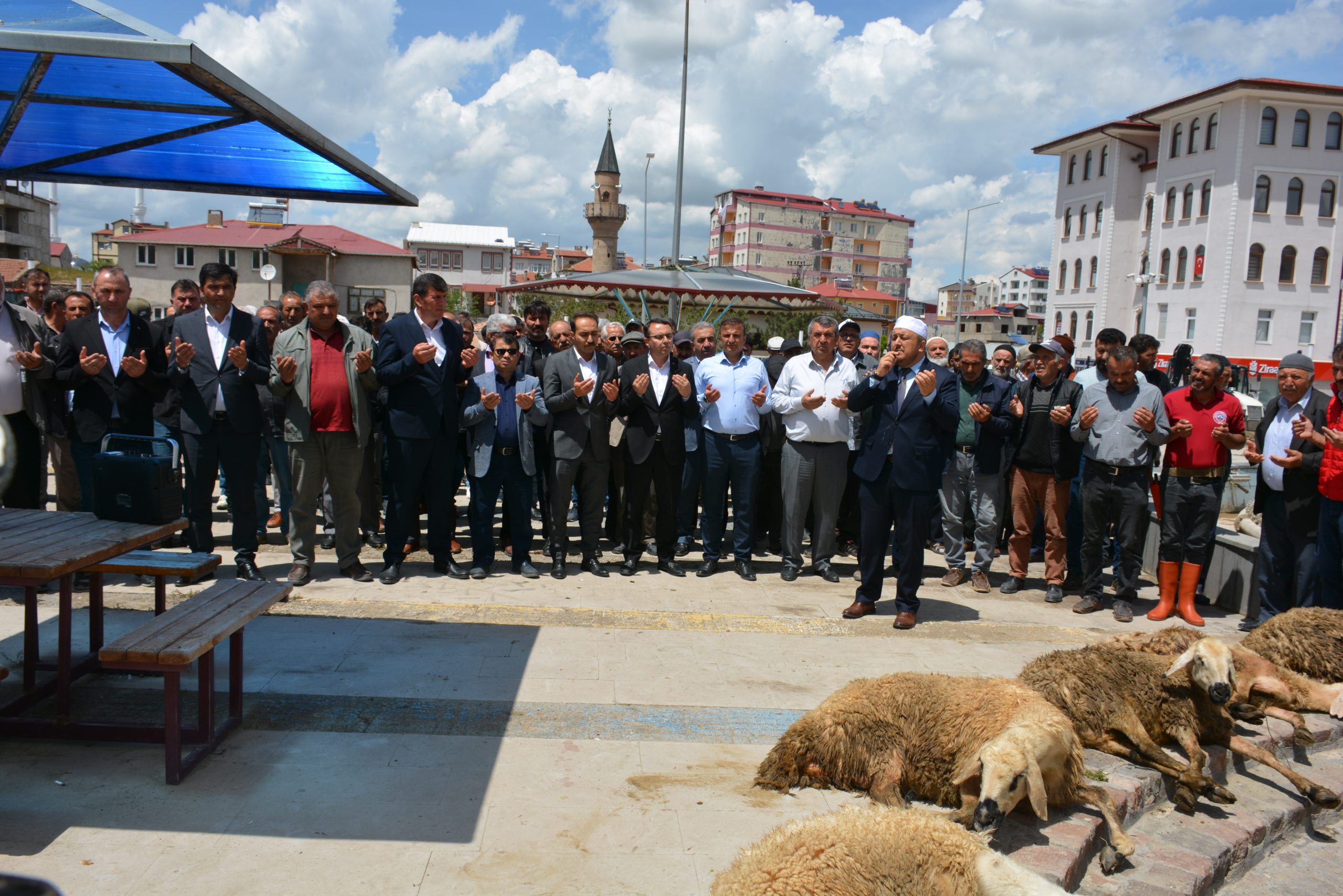 Yağışların Bol Olmasıyla Birlikte İlçemizde Şükür Kurbanları Kesildi