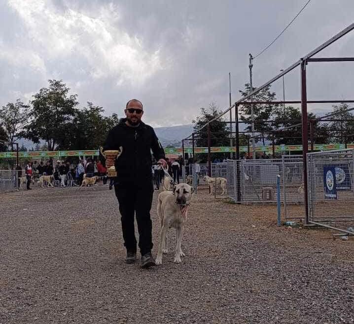 İlçemizden Kayseri’de düzenlenen Kangal Köpeği Güzellik ve Irk Yarışmasına Katılan Kangallar Birinci Geldi