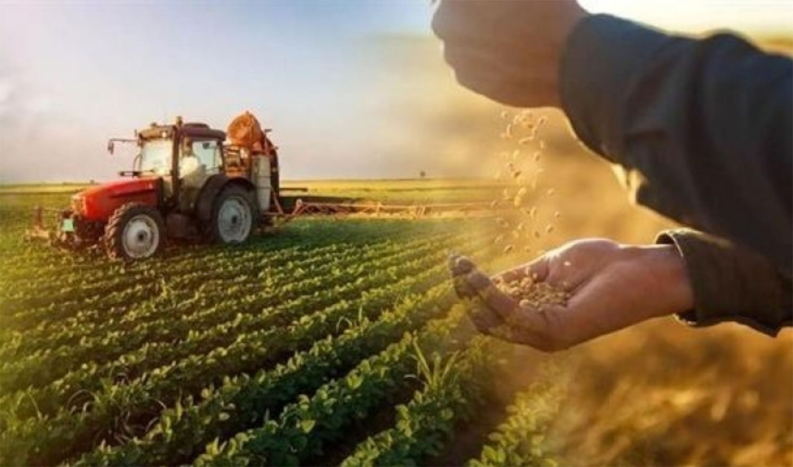 Altınyayla İlçe Tarım Müdürlüğü Hafta Sonu ÇKS Dosyalarını Teslim Etmeyenler İçin Mesai Yapacak