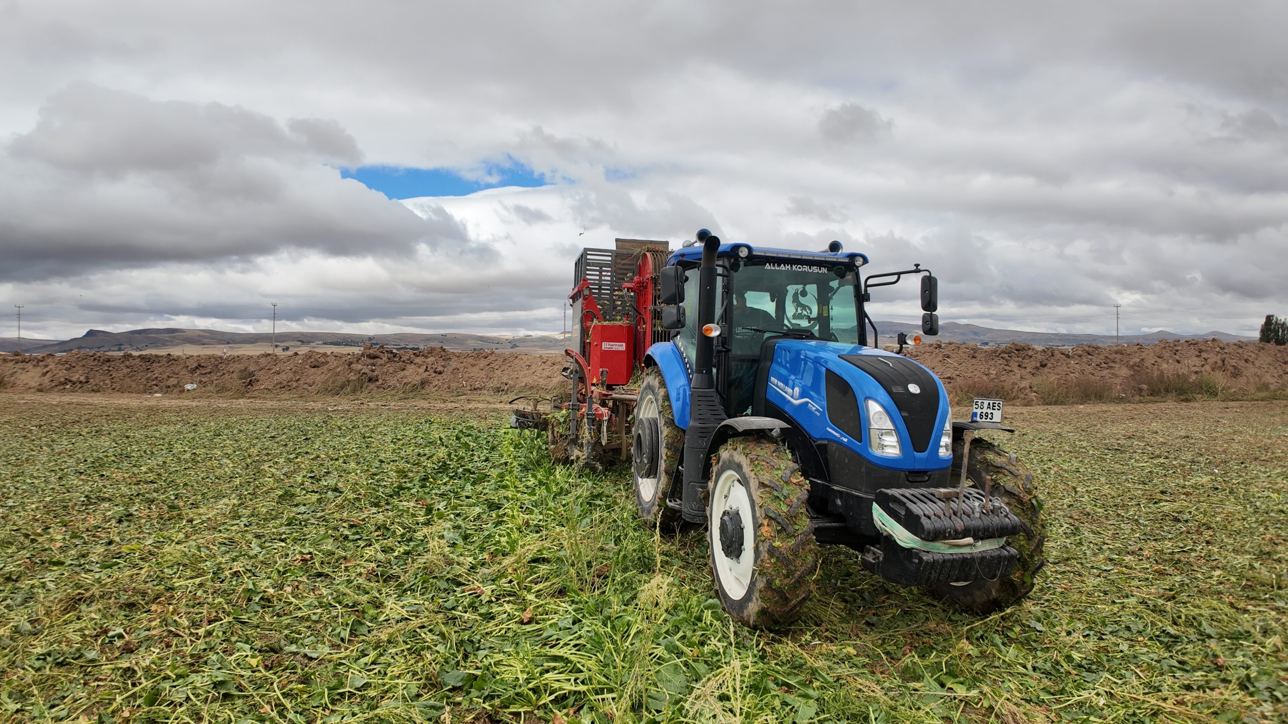 Altınyayla’da Pancar Hasadı Başladı
